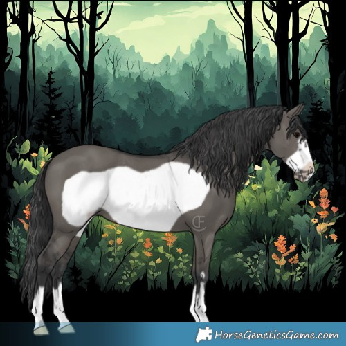 Horse Color:Grullo Frame 