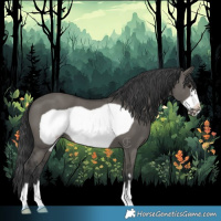 Horse Color:Grullo Frame 