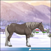 Horse Color:Silver Black Tobiano Varnish 