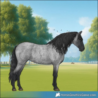 Horse Color:Blue Roan 