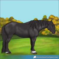 Horse Color:Smoky Black Tobiano 