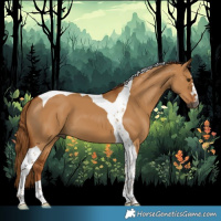 Horse Color:Gray Red Dun Tobiano 