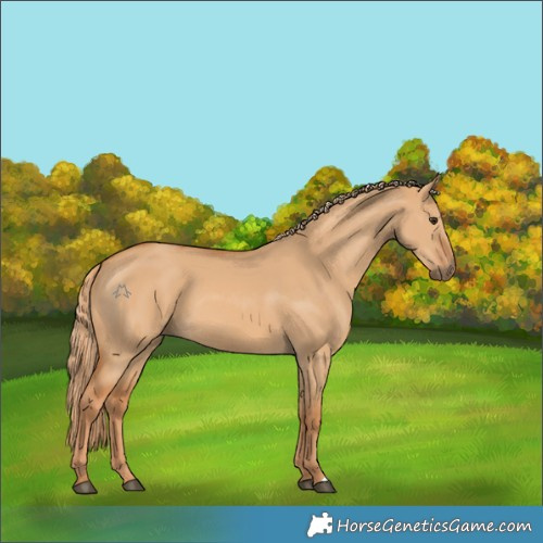 Horse Color:Red Dun 