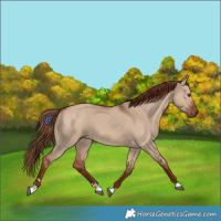 Horse Color:Red Dun
