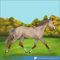 Horse Color:Red Dun 