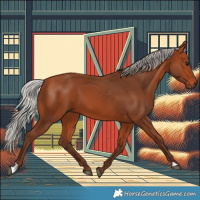 Horse Color:Silver Bay 
