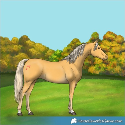 Horse Color:Palomino