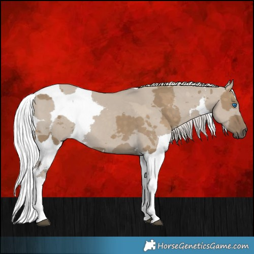 Horse Color:Silver Smoky Grullo Merle Sabino Tobiano 