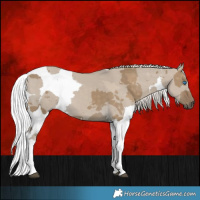 Horse Color:Silver Smoky Grullo Merle Sabino Tobiano