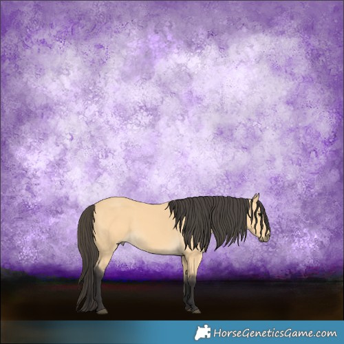 Horse Color:Buckskin Rabicano