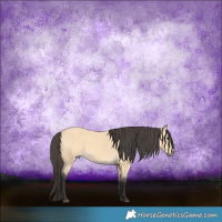 Horse Color:Buckskin Rabicano 