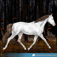 Horse Color:Bay Snowdrop Pearl Dun Tobiano Near Fewspot Rabicano 