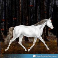 Horse Color:White Spotted Bay Snowdrop Pearl Dun Near Fewspot Rabicano