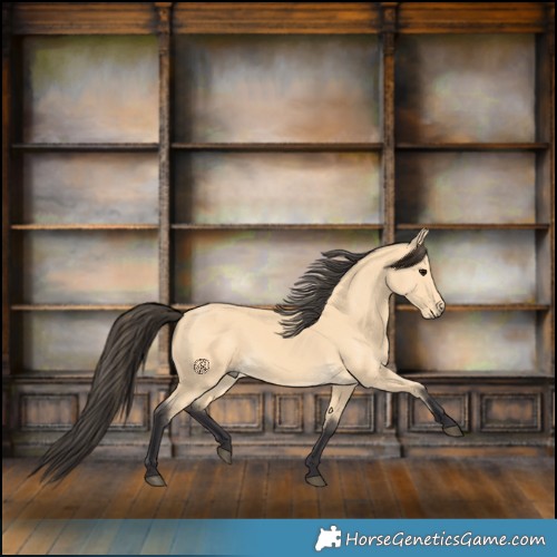 Horse Color:Buckskin 
