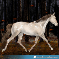 Horse Color:White Spotted Liver Red Dun Pearl Rabicano