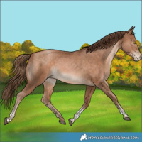 Horse Color:Bay Pearl Tobiano Rabicano 