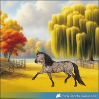 Horse Color:Liver Red Dun Brindle 