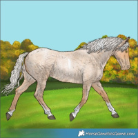 Horse Color:Silver Bay Roan Pearl Tobiano Frame 