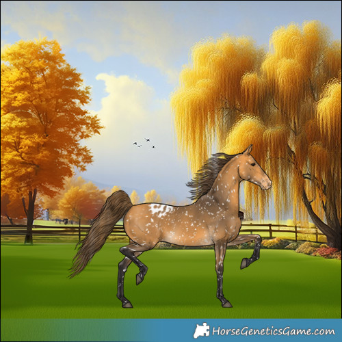 Horse Color:Buckskin Snowflake Varnish 