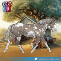 Horse Color:White Spotted Silver Grullo Splash and White Spotted Silver Grullo Splash