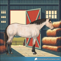 Horse Color:Bay Roan Dun 