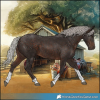 Horse Color:Silver Brown Tobiano