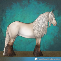 Horse Color:Gray Liver Red Dun Pearl Mushroom Rabicano