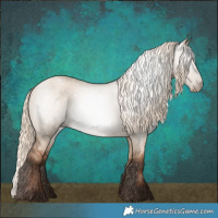 Horse Color:Gray Liver Red Dun Pearl Mushroom Rabicano 