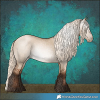 Horse Color:Gray Liver Red Dun Pearl Mushroom Rabicano