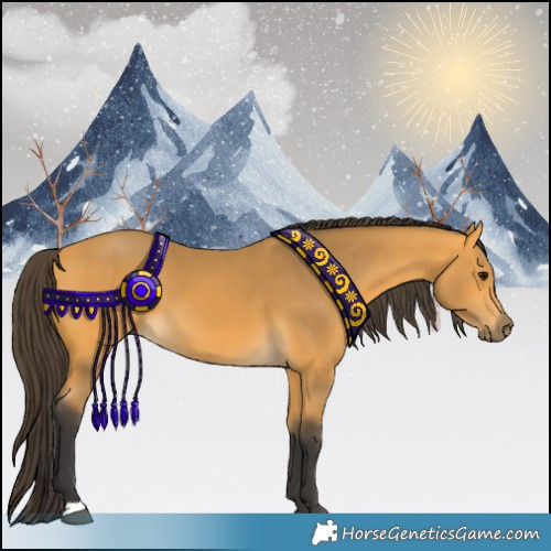 Horse Color:Buckskin