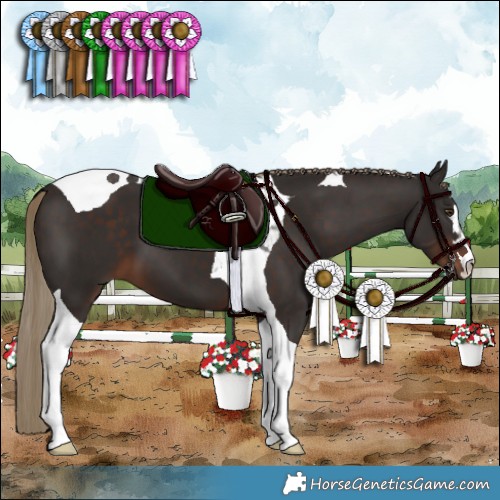 Horse Color:Liver Chestnut Tobiano 