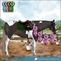 Horse Color:Liver Chestnut Tobiano 