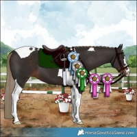 Horse Color:Liver Chestnut Tobiano