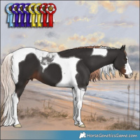 Horse Color:Liver Chestnut Tobiano 