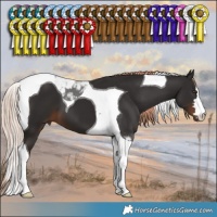 Horse Color:Liver Chestnut Tobiano 