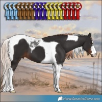 Horse Color:Liver Chestnut Tobiano 