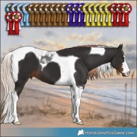 Horse Color:Liver Chestnut Tobiano 