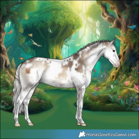 Horse Color:White Spotted Silver Brown Onyx Splash 