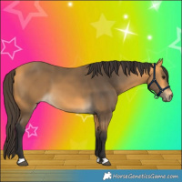 Horse Color:Buckskin 