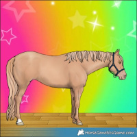 Horse Color:Gold Champagne 