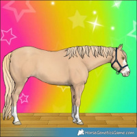 Horse Color:Gold Champagne 