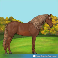 Horse Color:Chestnut 