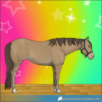 Horse Color:Classic Cream Champagne