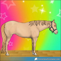 Horse Color:Gold Champagne