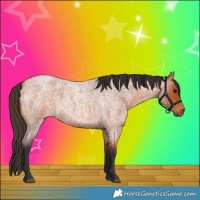 Horse Color:Bay Roan Rabicano 