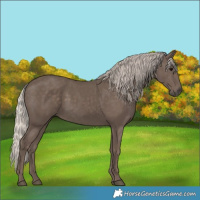 Horse Color:Silver Black 