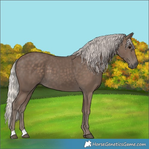 Horse Color:Silver Black 