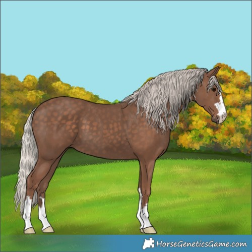 Horse Color:Silver Black 