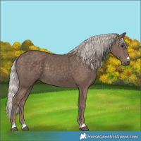 Horse Color:Silver Black 