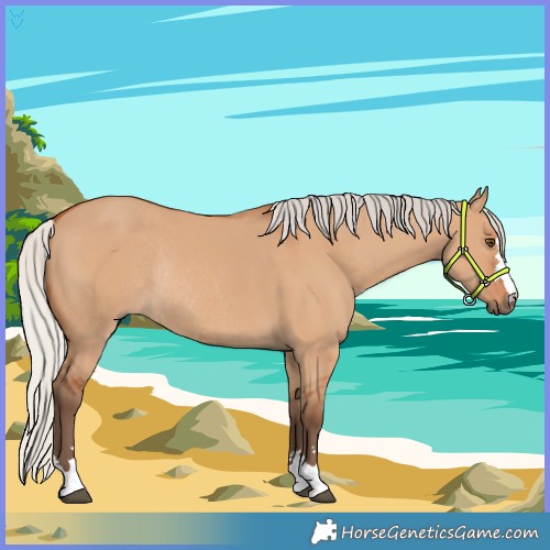 Horse Color:Silver Bay Dun Rabicano 